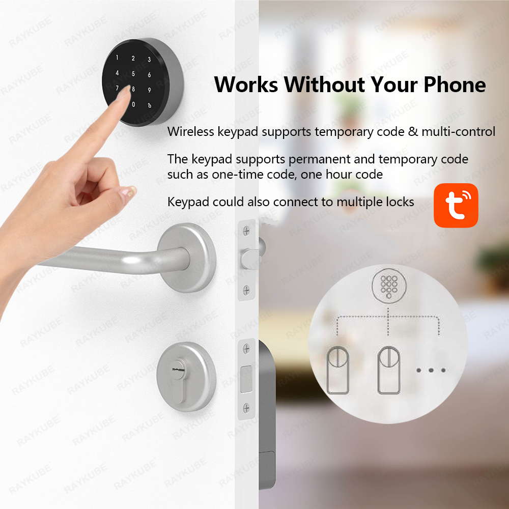 RAYKUBE A1 Pro Tuya BEL Inteli – Home Assistant Tuya recenzja i cena